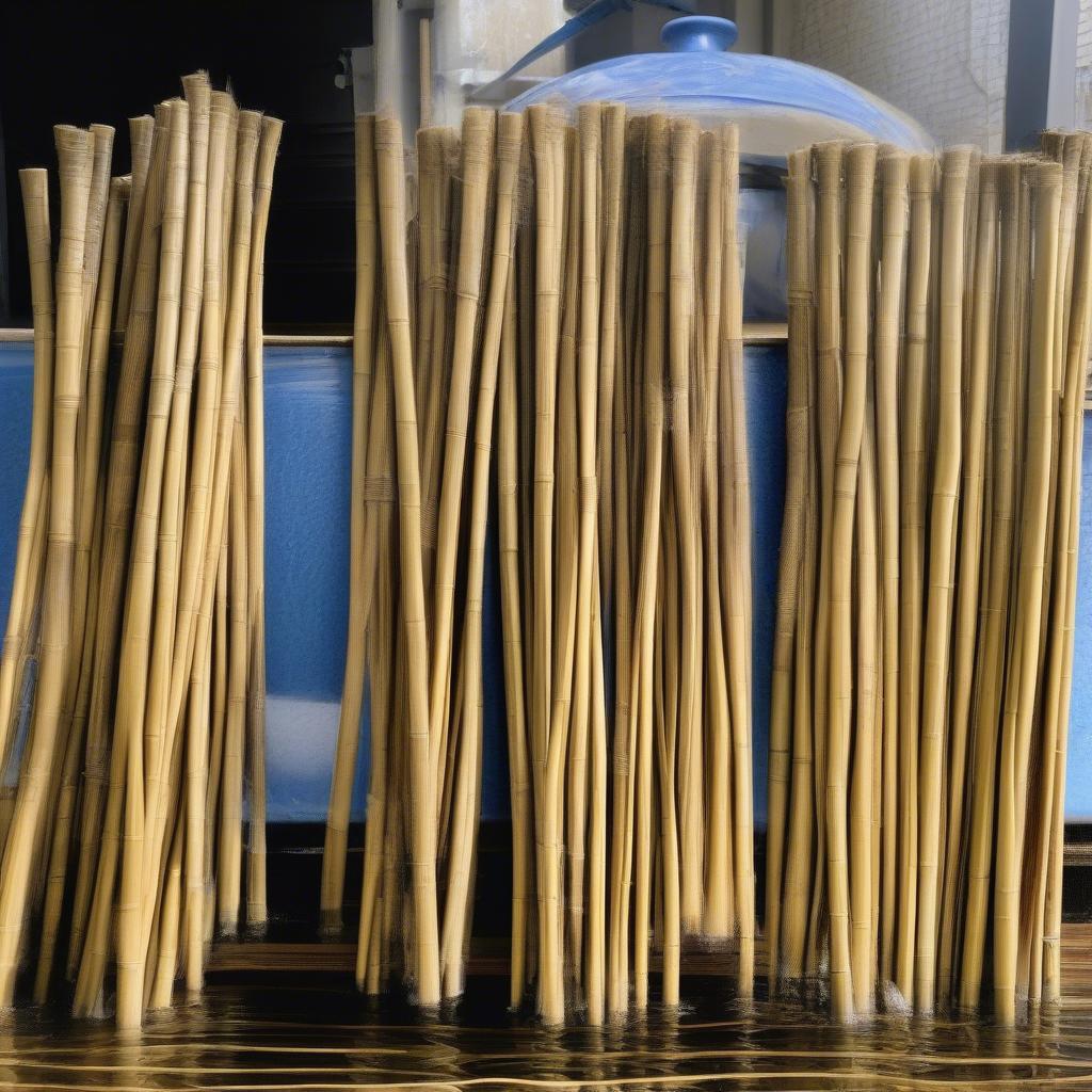 Soaking Willow Rods for Basket Weaving