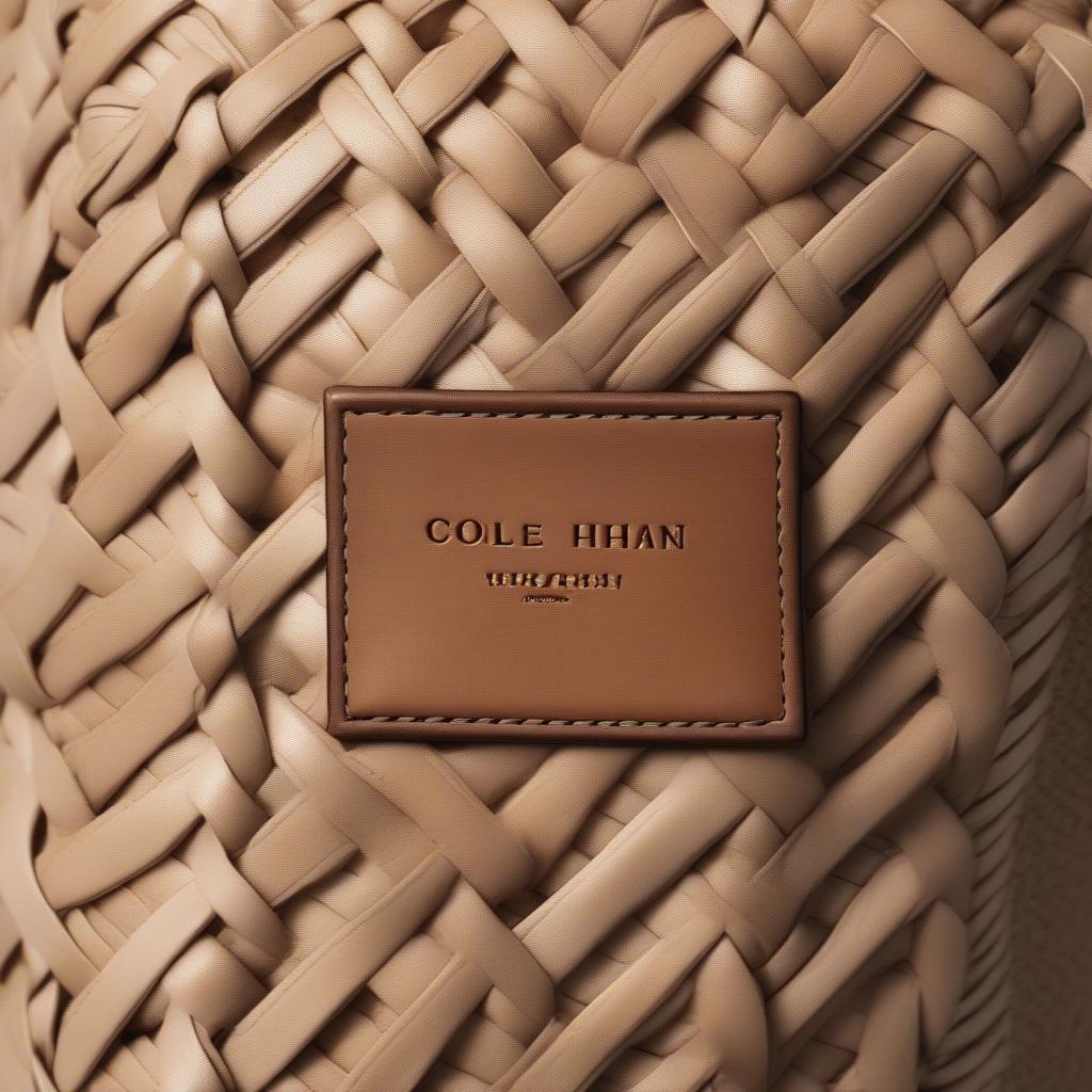 Close-up view of the Cole Haan Heritage Weave bag showcasing its intricate wicker details and leather accents.