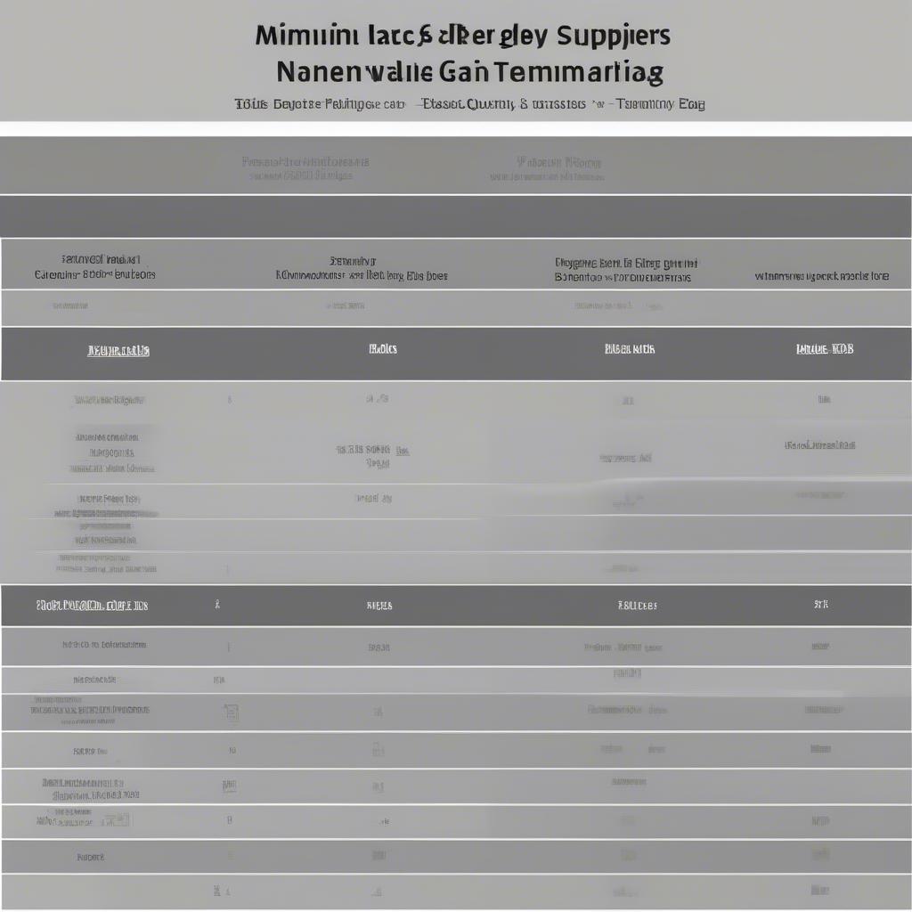 A table comparing different non-woven bag suppliers in Tamilnadu, including price per kg, minimum order quantity, and available customization options.