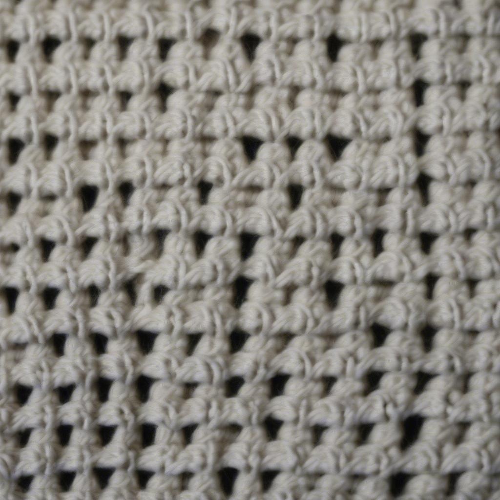 Close-up of the Crochet Basket Weave Stitch