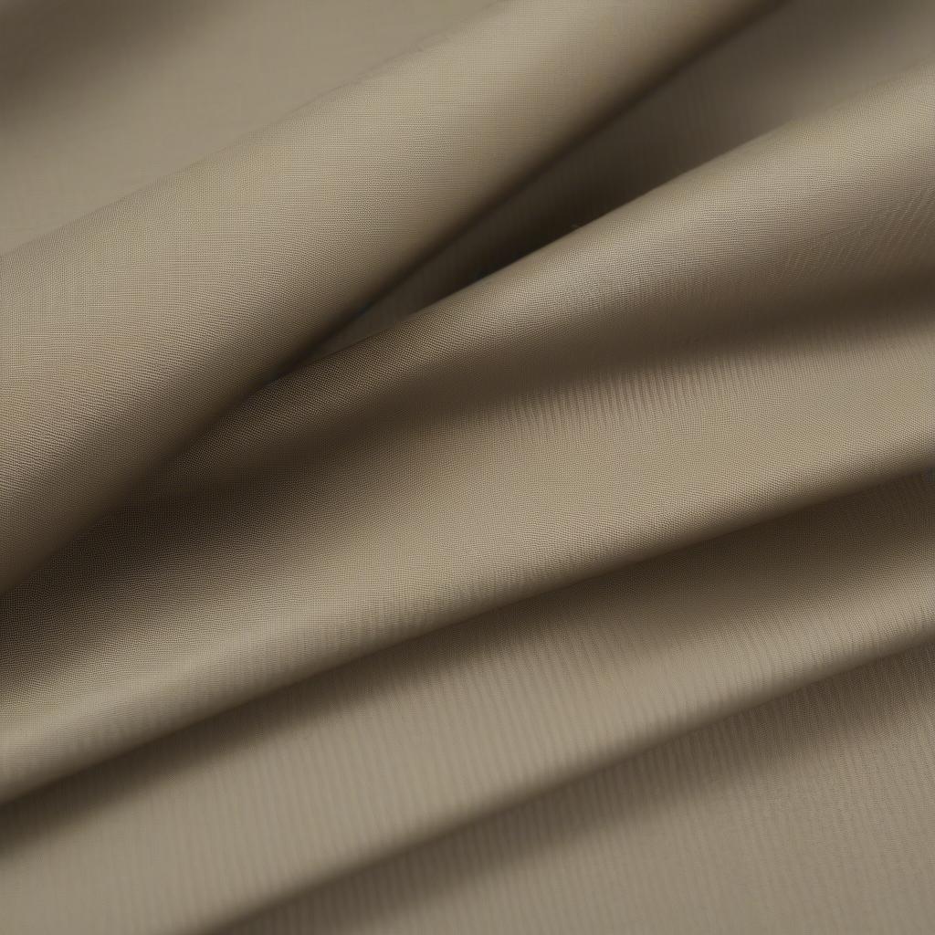 Texture of Duck Fabric