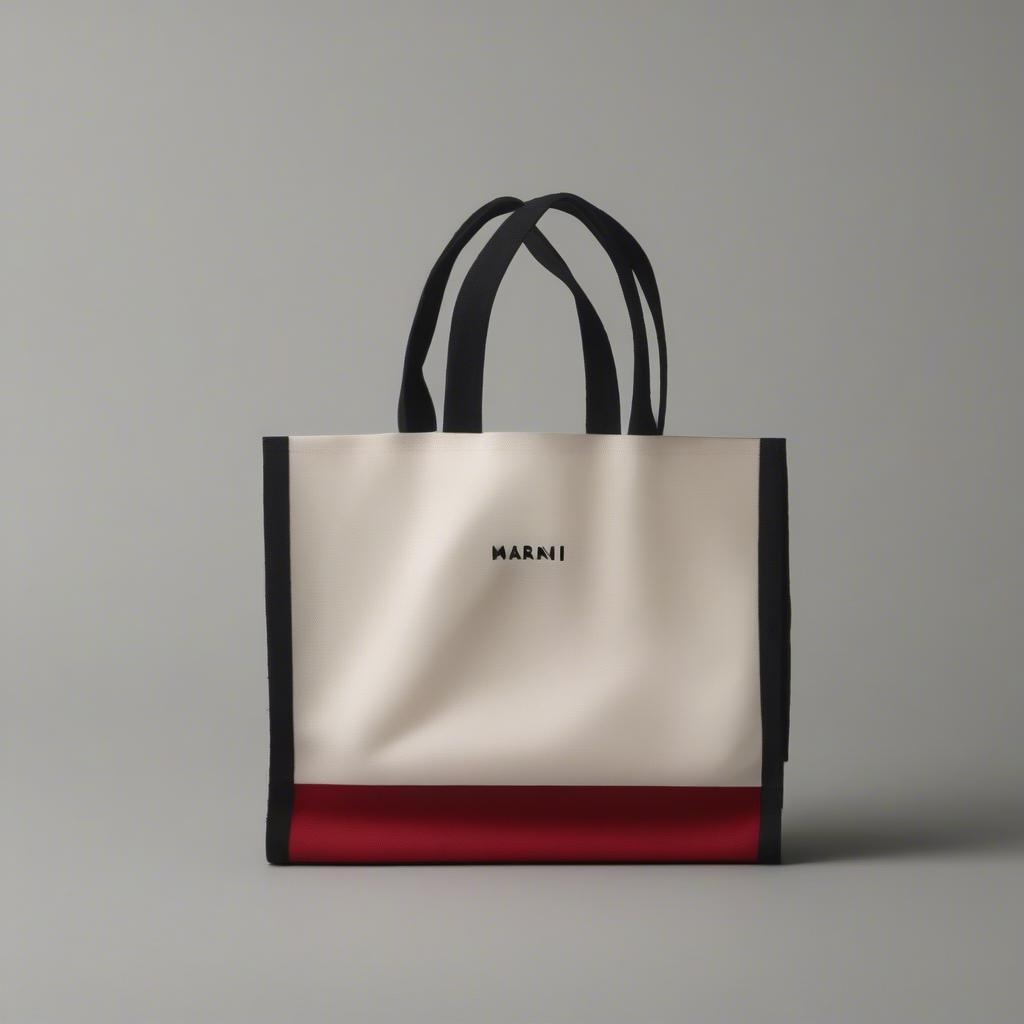 Cleaning and Storing a Marni Mini Woven Shopping Bag