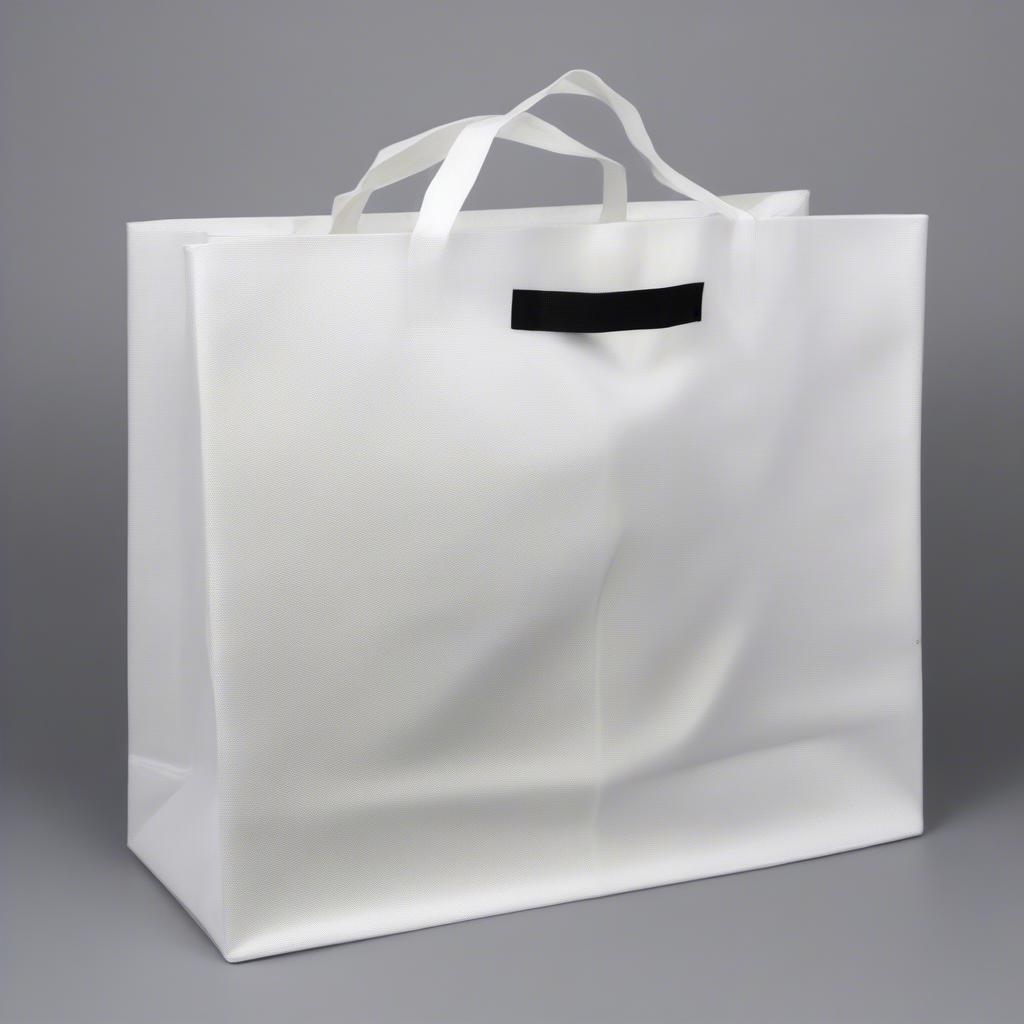 Non Woven Box Bag Structure: Demonstrating the Sturdy Construction