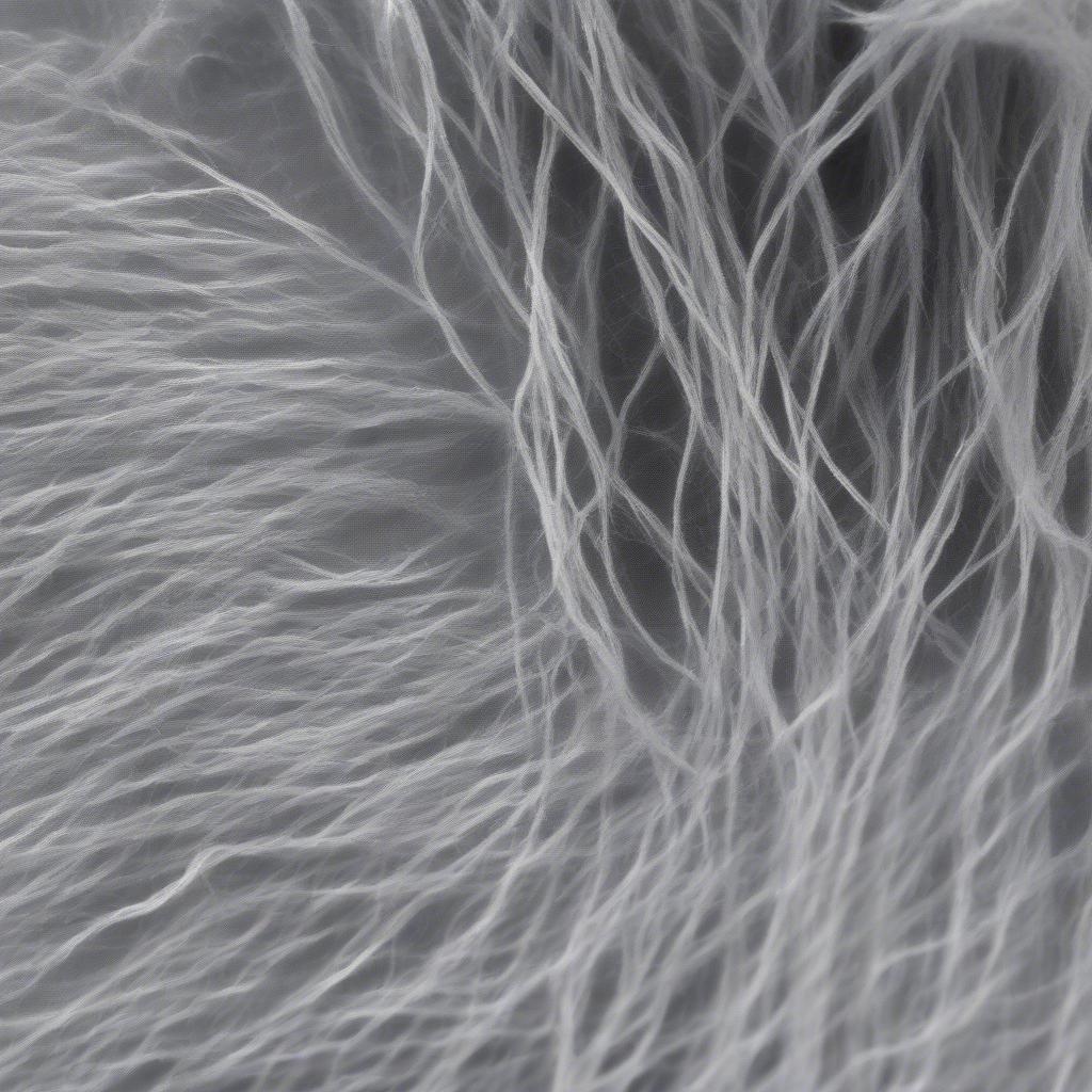 Non-Woven Fabric Under Microscope