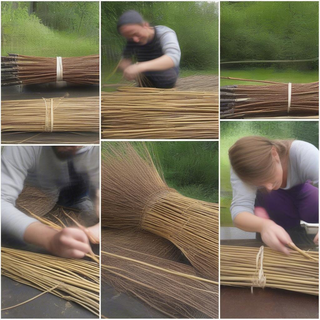 Steps to Prepare Willow Rods for Weaving