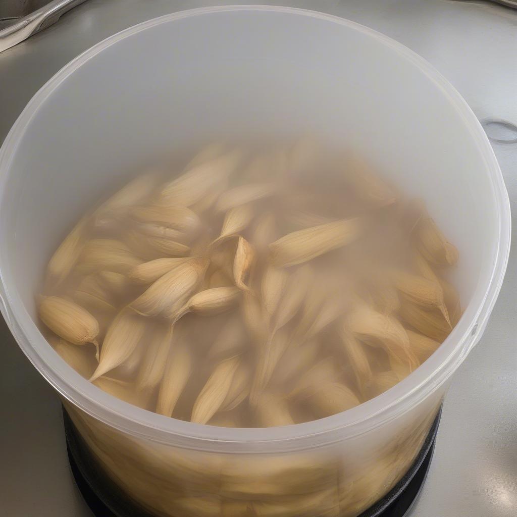 Soaking Cornhusks in Water