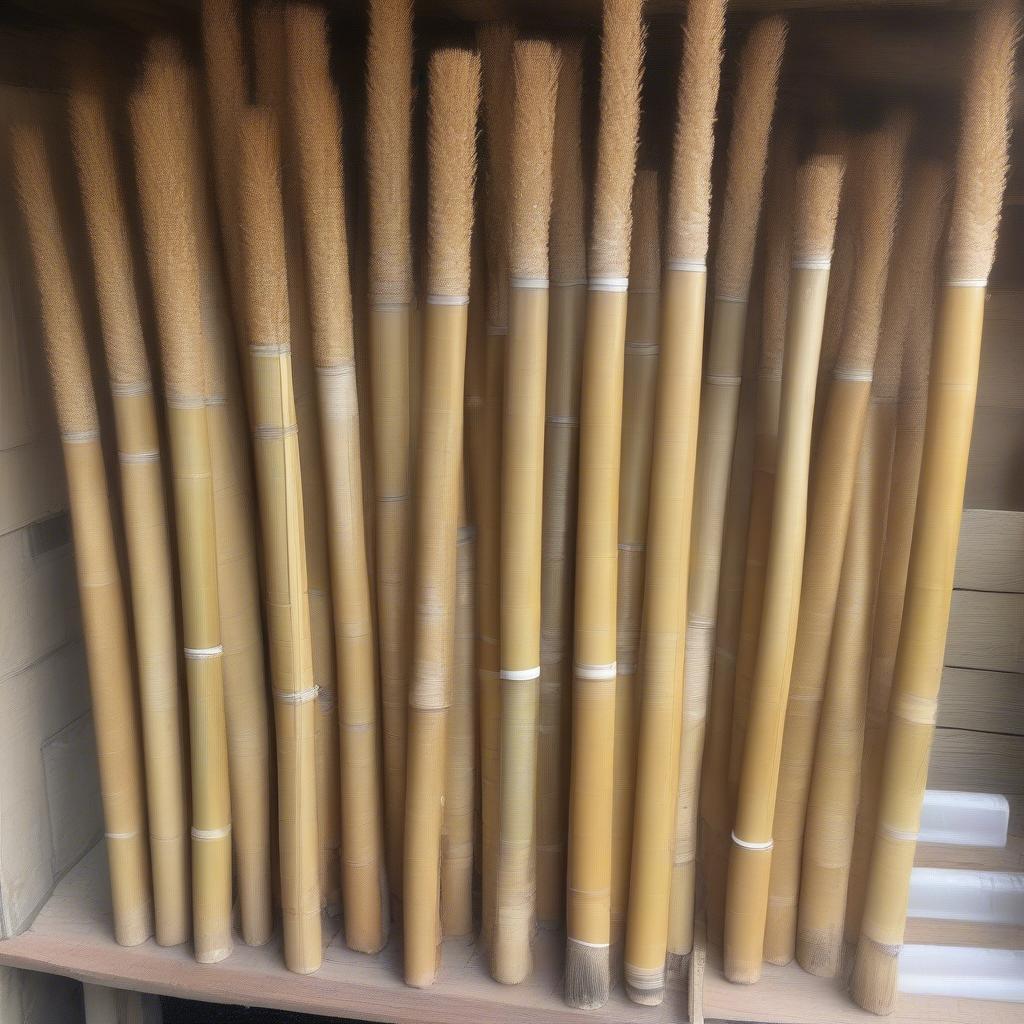 Proper Storage of Basket Weaving Reed